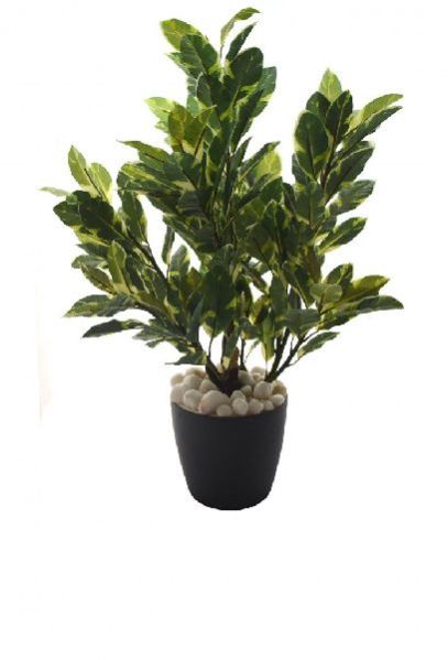 Artificial Plants 03