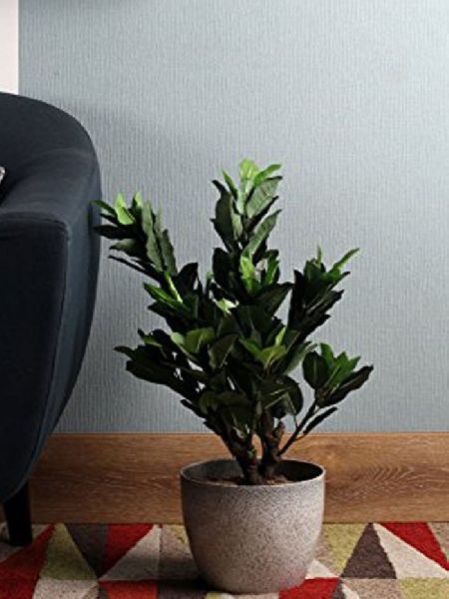 Artificial Plants 04