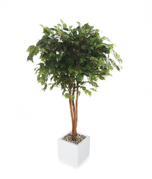 Artificial Plants 19