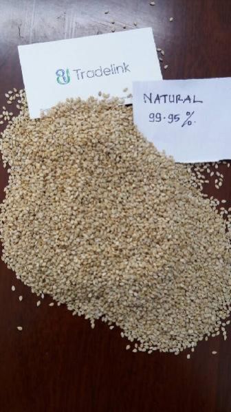 Natural Sesame Seeds (99.95%)