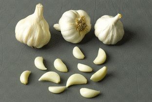Garlic 02