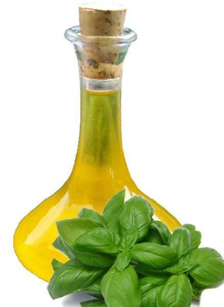 Basil Oil 01