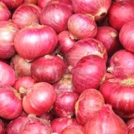 Fresh Red Onion 04