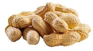 Shelled Peanut 01