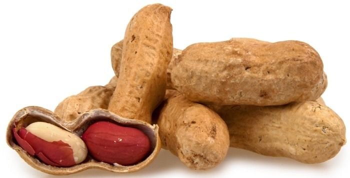 Shelled Peanut 02