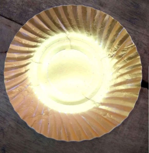 Disposable Plates 07