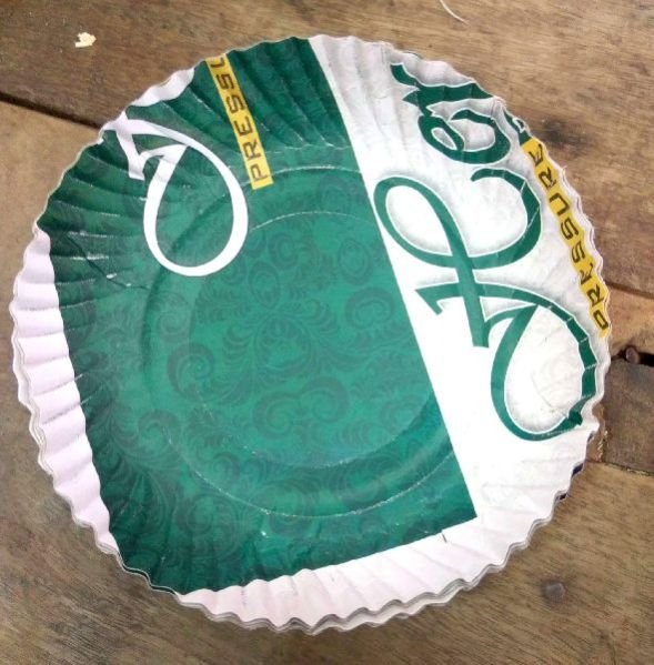 Disposable Plates 08