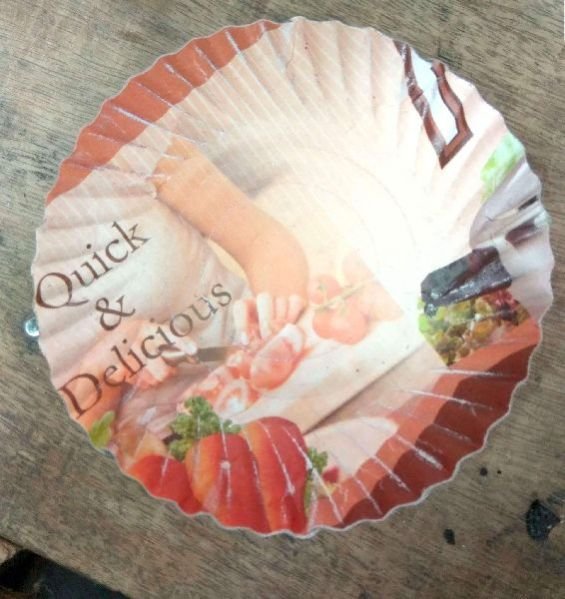 Disposable Plates 09