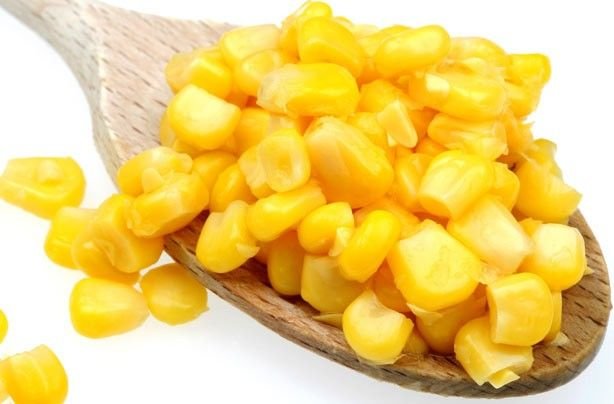 Sweet Corn 03