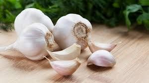 Fresh Garlic  01