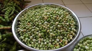 Pigeon Peas 03