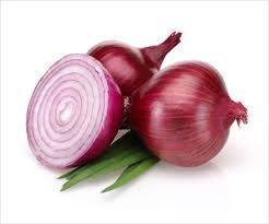Fresh Onion 04