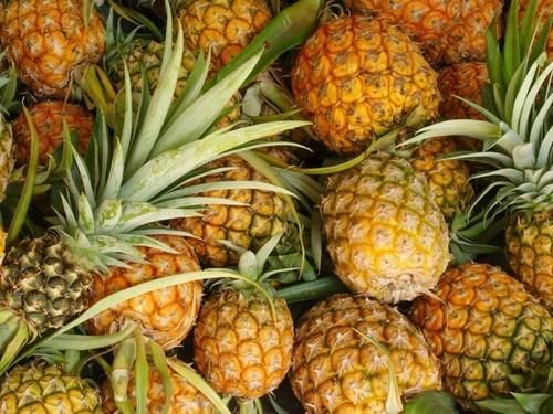 Fresh Pineapple 01