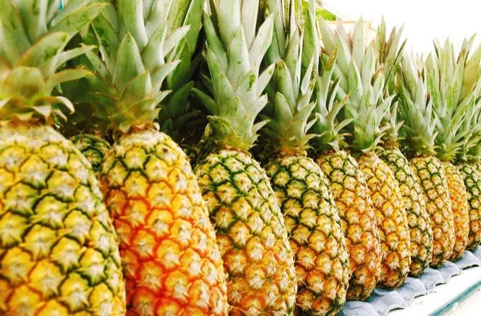 Fresh Pineapple 03