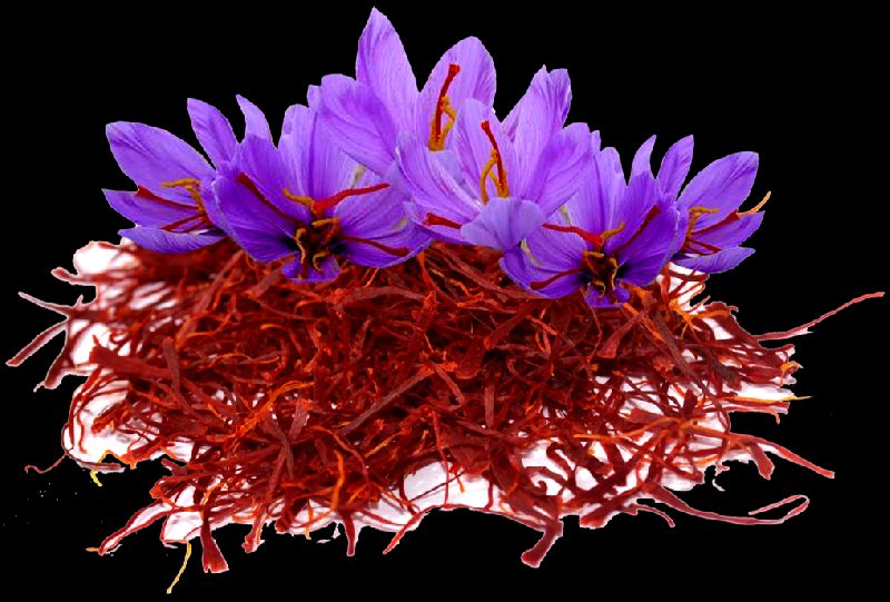 Kashmiri Saffron 02