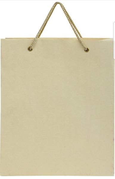 Paper Bag 04