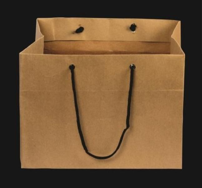 Paper Bag 09