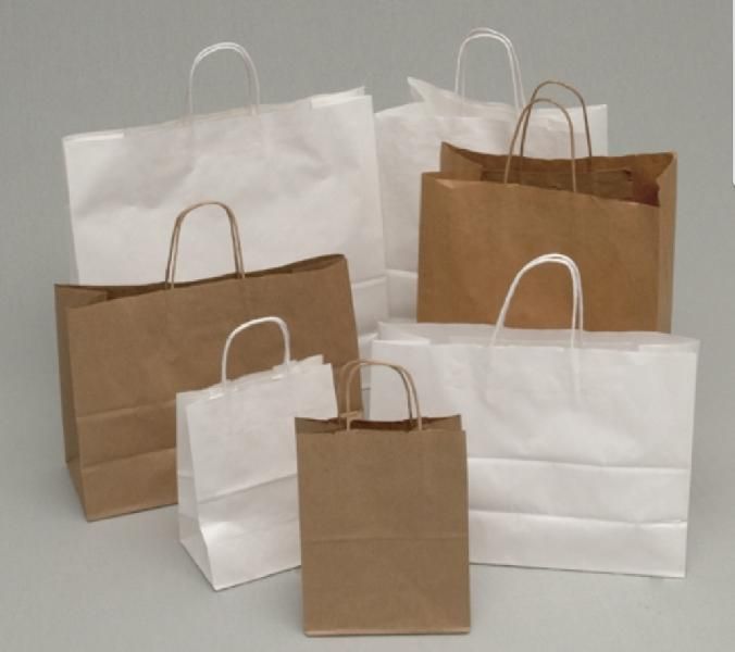 Paper Bag 10