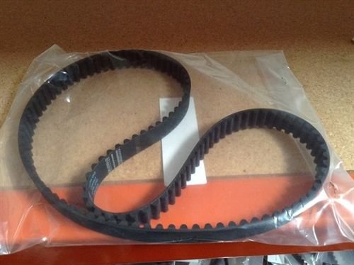 Gcl Belt 02