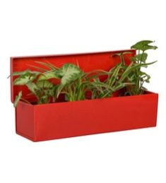 Metal Planter 20