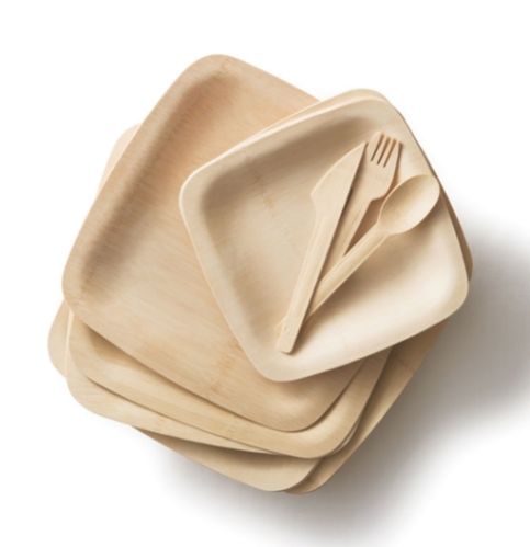 Areca Leaf Paper Plate 02