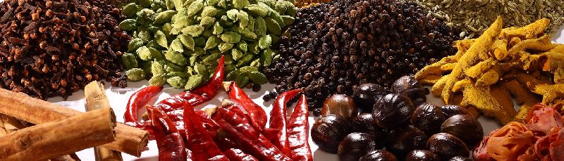 Indian Spices 03