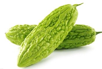 Fresh Bitter Gourd 01
