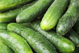 Fresh Cucumber 01