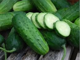 Fresh Cucumber 02