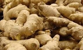 Fresh Ginger 01