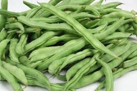 Fresh Lima Beans 01