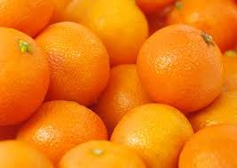 Fresh Orange 01