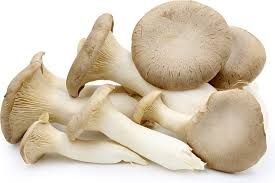 Fresh Oyster Mushroom 02