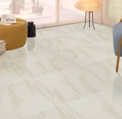 Kajaria Vitrified Floor Tiles 01