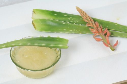 Aloe Vera Pulp 02