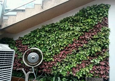 Vertical Natural Garden Installation Service 06