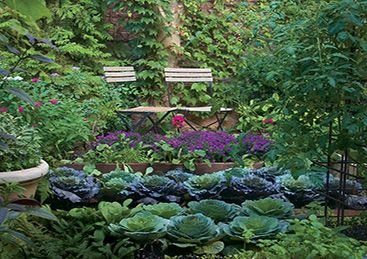 Kitchen Garden Installation Service 05