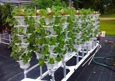 Roof Garden Installation Service 05