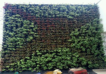 Vertical Garden Installation Service 02