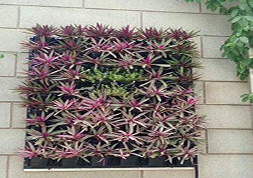 Vertical Garden Installation Service 03