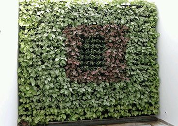 Vertical Garden Installation Service 06