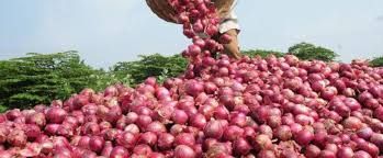 Fresh Red Onion 05