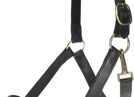 AI-LH-003 Horse Leather Halter