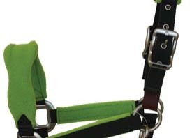 AI-PHR-001 Horse Padded Halter