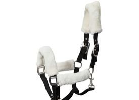 AI-PHR-003 Horse Padded Halter