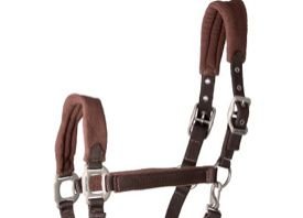 AI-PHR-004 Horse Padded Halter