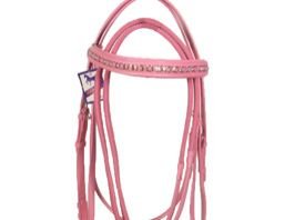 AI-PPR-003 Horse PP Rein