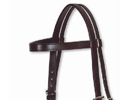 AI-PPR-004 Horse PP Rein