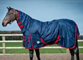 AI-RR-001 Horse Rein Rug