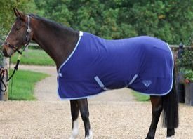AI-RR-002 Horse Rein Rug